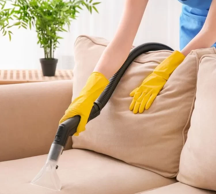 Sofa Cleaning