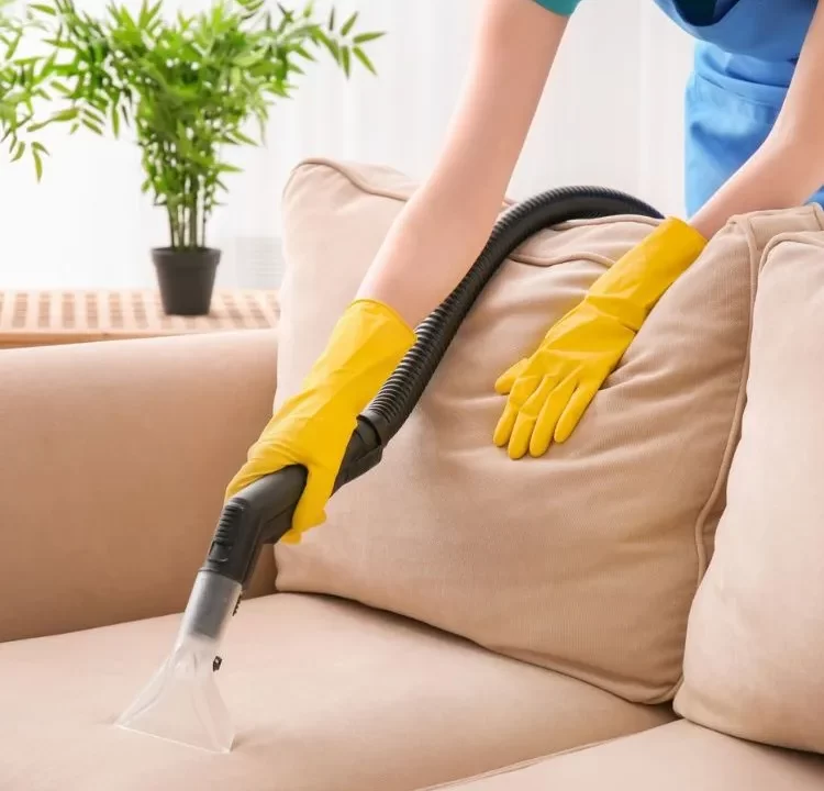 Sofa Cleaning