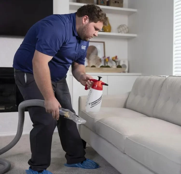 Sofa Cleaning